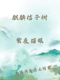 麒麟桔子树