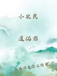 小农民