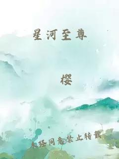 星河至尊