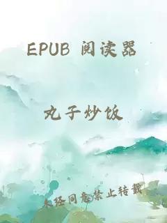 EPUB 阅读器