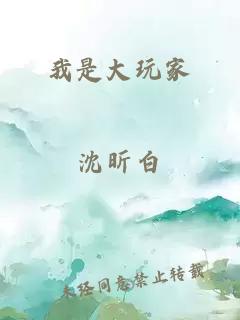 我是大玩家