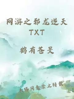 网游之邪龙逆天TXT