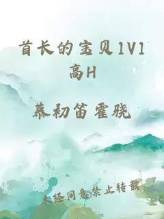 首长的宝贝1V1高H