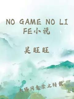 NO GAME NO LIFE小说