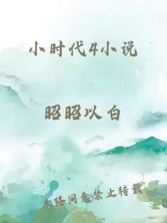 小时代4小说