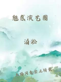 魅惑演艺圈