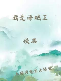 我是海贼王