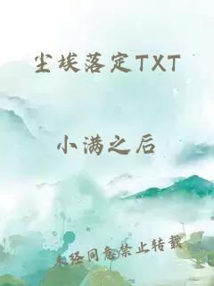 尘埃落定TXT