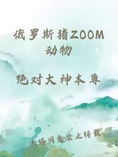 俄罗斯猪ZOOM动物