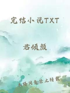 完结小说TXT