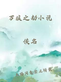 万族之劫小说