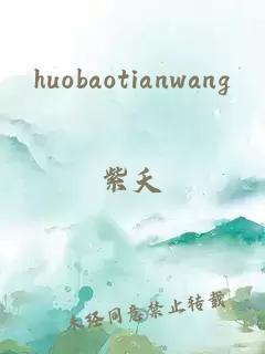 huobaotianwang