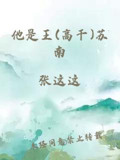 他是王(高干)苏南