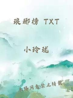 琅琊榜 TXT