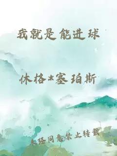 我就是能进球