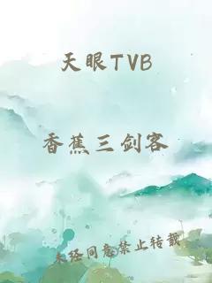 天眼TVB