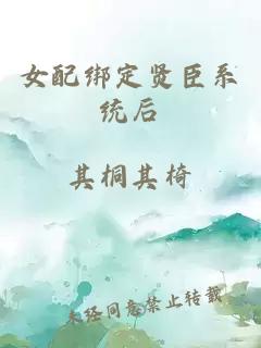 女配绑定贤臣系统后