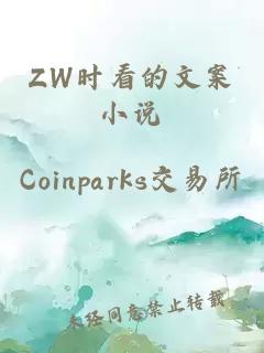 ZW时看的文案小说