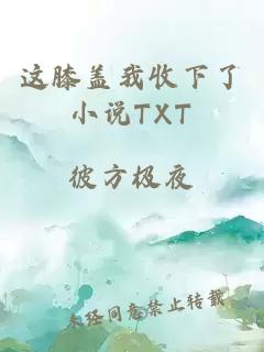 这膝盖我收下了小说TXT