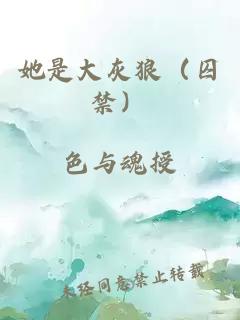 她是大灰狼（囚禁）