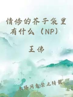 情修的芥子袋里有什么（NP）