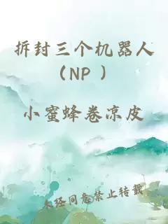 拆封三个机器人（NP ）