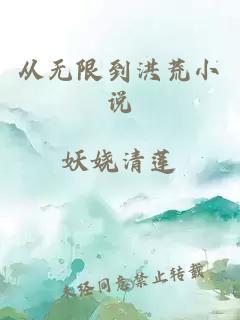 从无限到洪荒小说