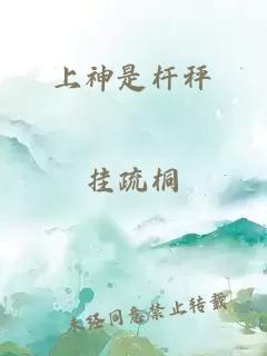 上神是杆秤