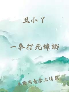 丑小丫