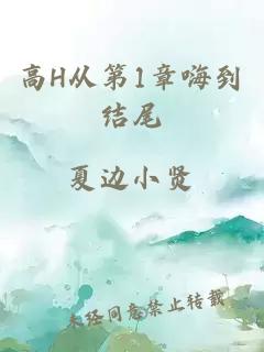 高H从第1章嗨到结尾